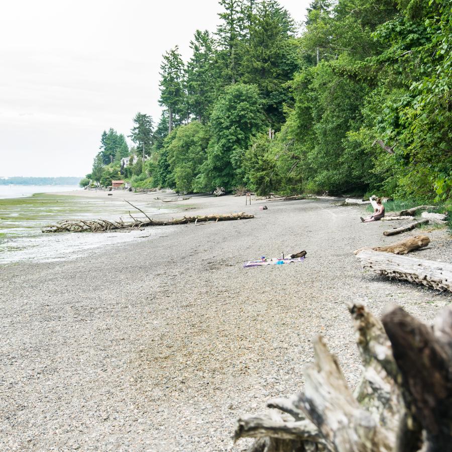 Tolmie State Park