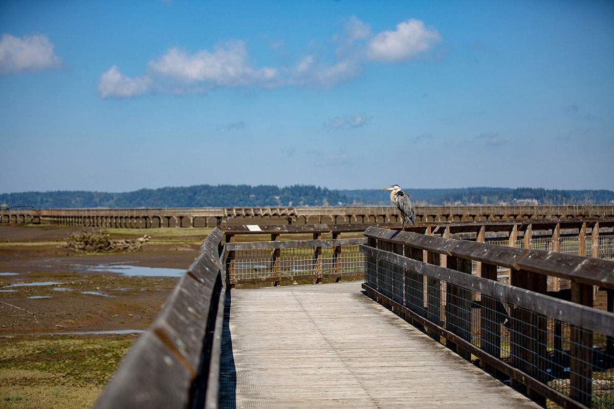 Chehalis-Western Trail